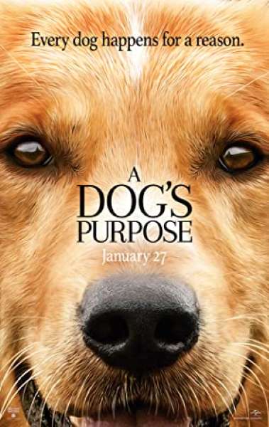 Movie Review - A Dog's Purpose