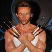 high jackman as wolverine from X-men