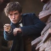newt scamander in fantastic beasts where to find them crimes of grindelwald