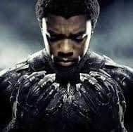 black panther and king T'Challa
