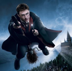 Get paid $1k to watch Harry Potter in one binge session
