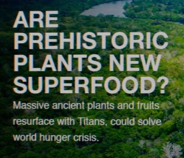 Are prehistoric plants new superfood? Massive ancient plants and fruits resurface with Titans, could solve world hunger crisis.