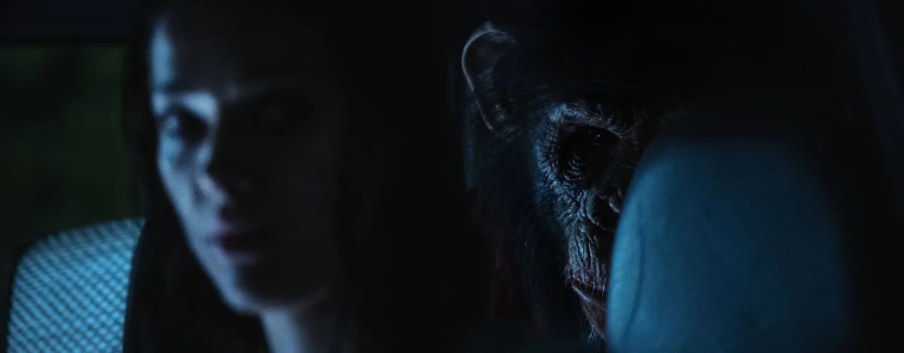 Movie Review – Primate