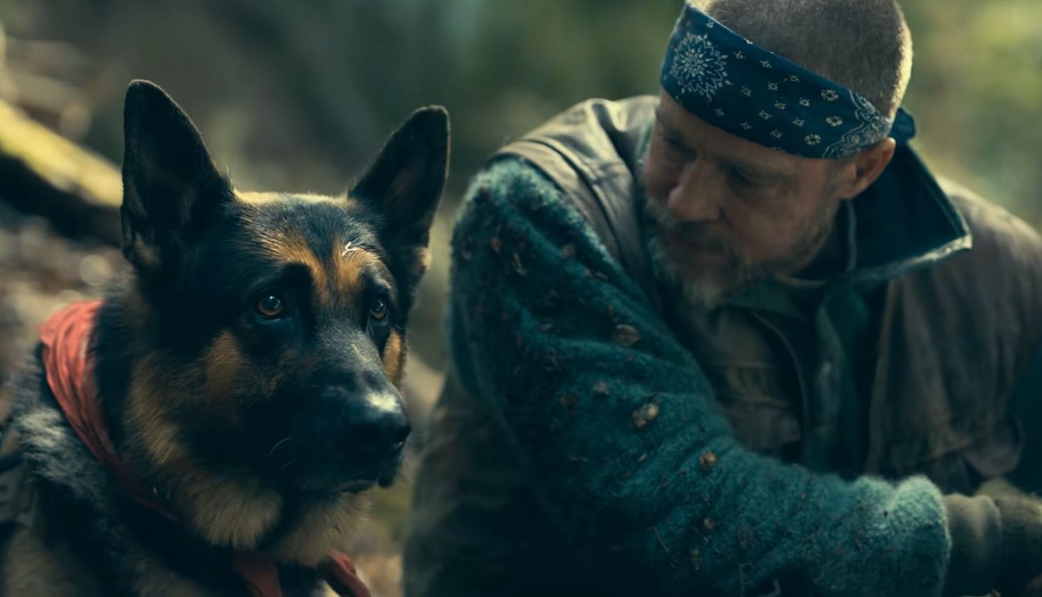 Movie Review – Heart of the Beast
